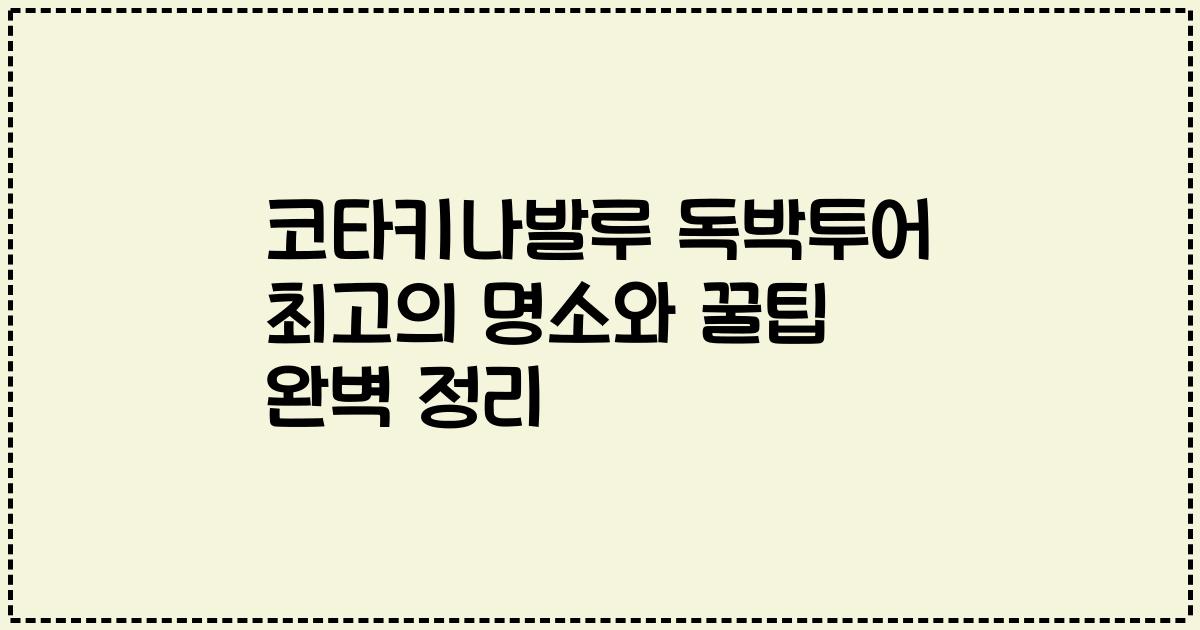 코타키나발루 독박투어 최고의 명소와 꿀팁 완벽 정리